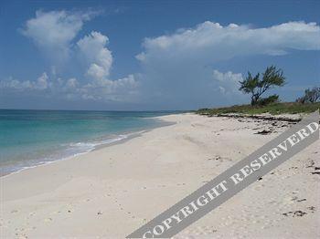 Buttonwood Reserve Condominiums Eleuthera Eksteriør billede