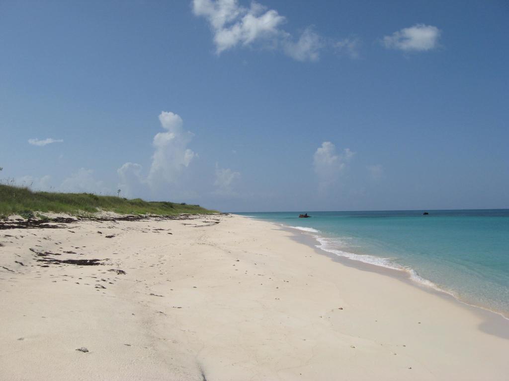 Buttonwood Reserve Condominiums Eleuthera Eksteriør billede